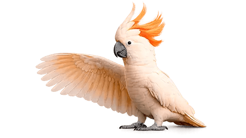 Alisa Bank and Finago