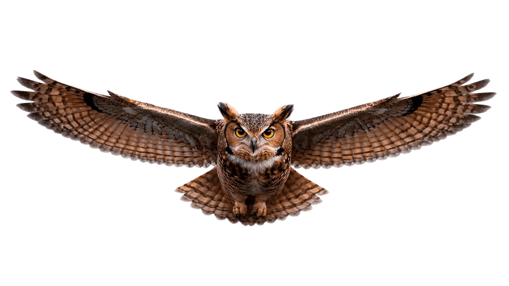 Alisa Bank and Visma Solution